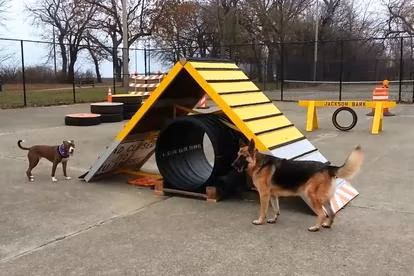 Dog parks in Chicago, Illinois, Illinois